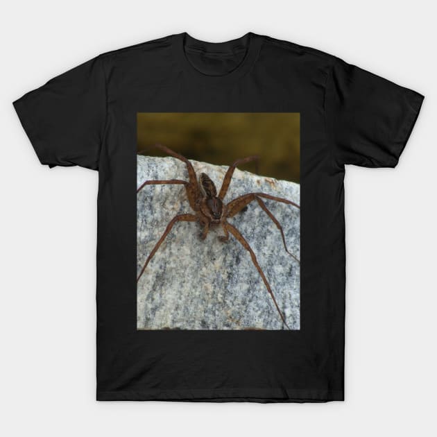 Cool Big Spider Photo T-Shirt by saradaboru